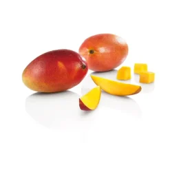 Mango^Lidl Best