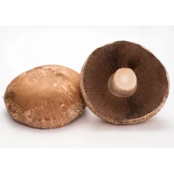 Portobello Mushroom Caps^Lidl New